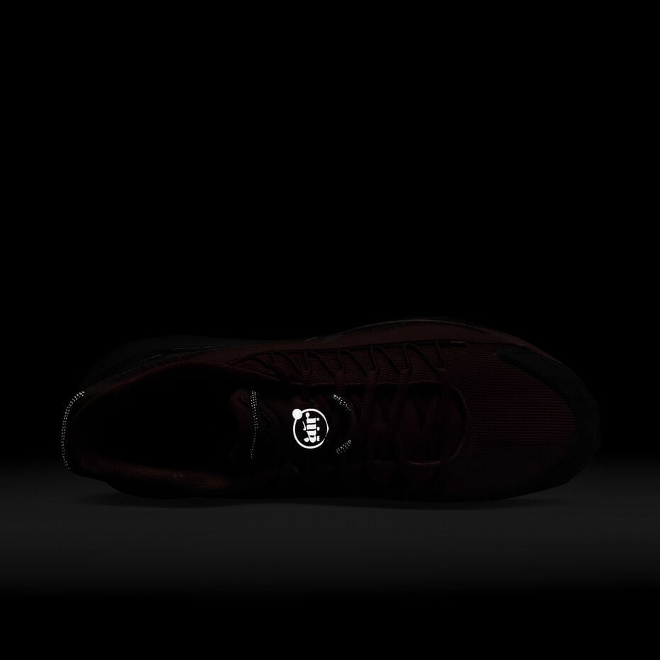 Nike Air Max Pulse Roam Dragon