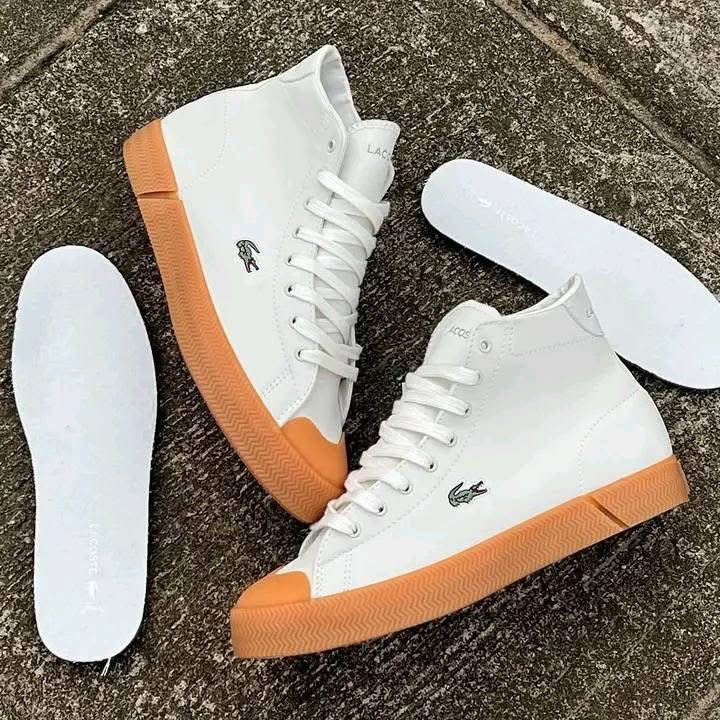 Baskets Lacoste Montante