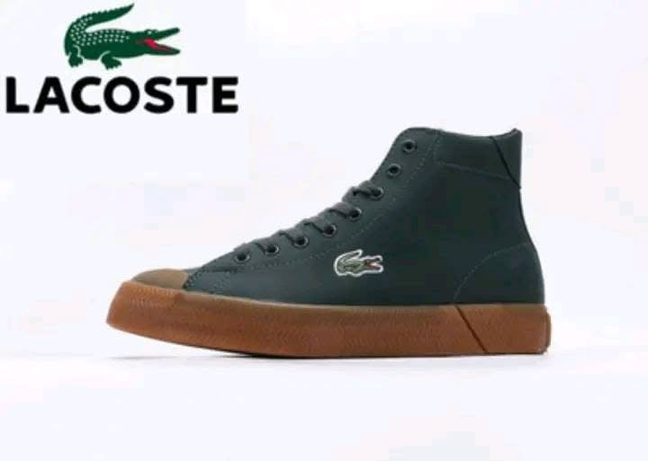 Baskets Lacoste montante