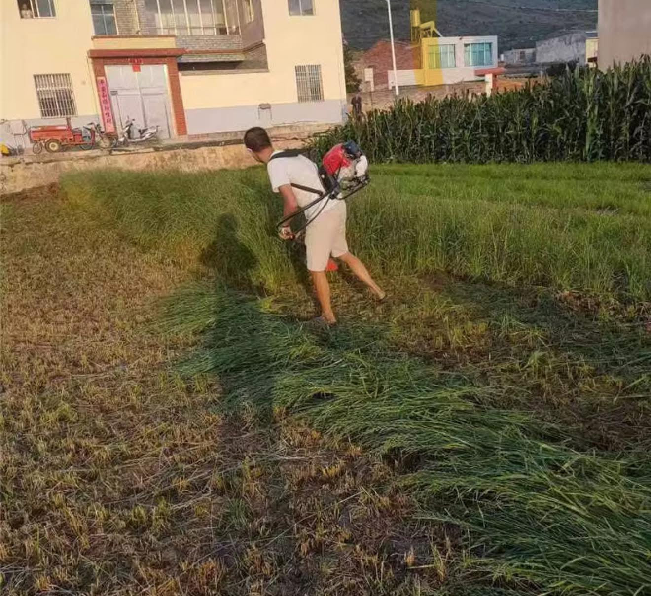 Débroussailleuse 4 temps avec sac à dos